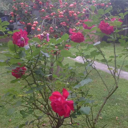 La Casa Di Ro فندق مبيت وإفطار روما