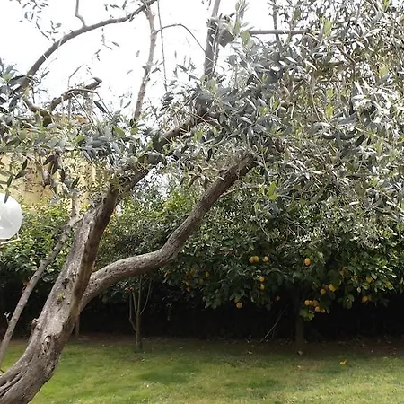 La Casa Di Ro * روما