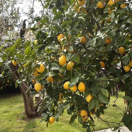 فندق مبيت وإفطار La Casa Di Ro