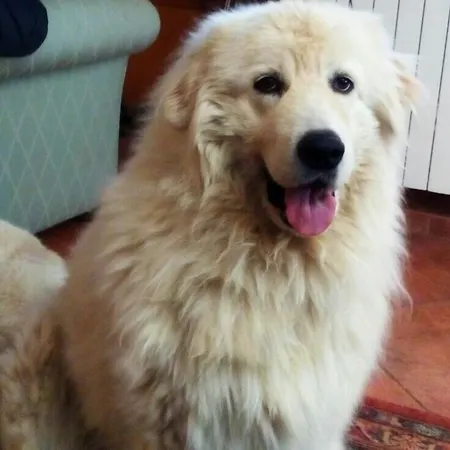 فندق مبيت وإفطار La Casa Di Ro *