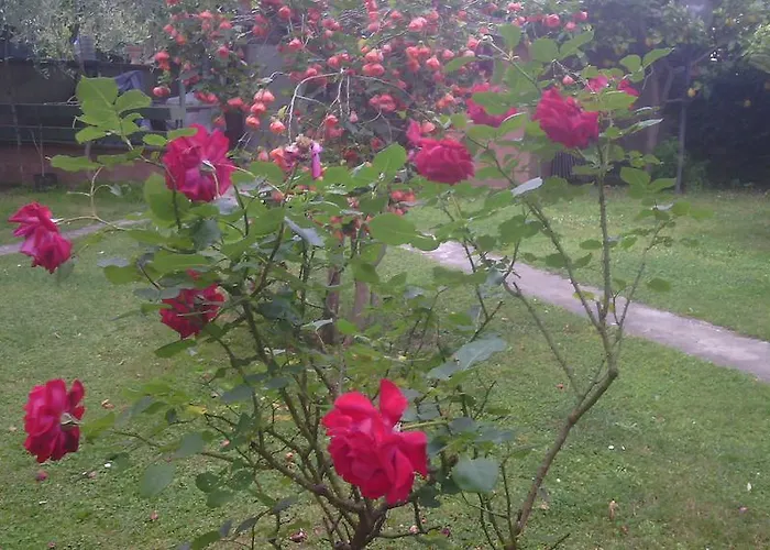 La Casa Di Ro Nocleg ze śniadaniem Rzym