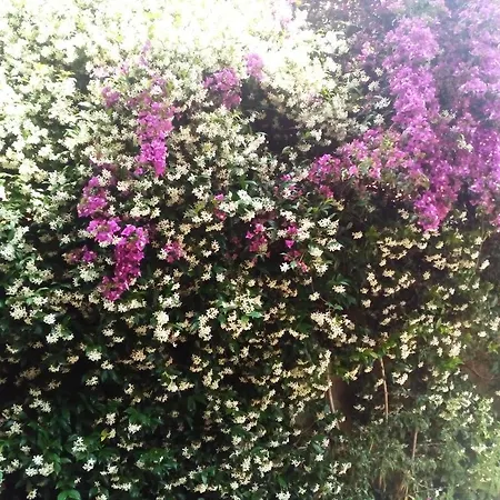 Bed & Breakfast La Casa Di Ro *