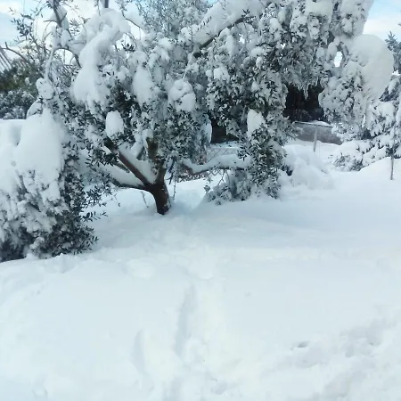 La Casa Di Ro Bed & Breakfast *