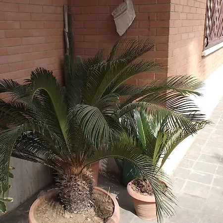 La Casa Di Ro Bed and Breakfast *