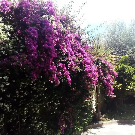 La Casa Di Ro Ρώμη