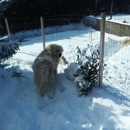 La Casa Di Ro Frühstückspension