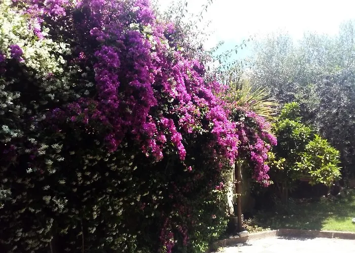 La Casa Di Ro Rom