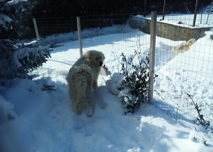 La Casa Di Ro Frühstückspension